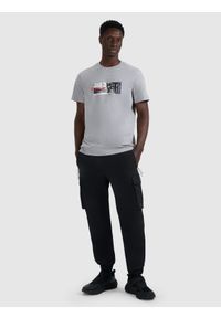 4f - 4F T-shirt regular z nadrukiem męski - szary XL. Okazja: na co dzień. Kolor: szary. Materiał: materiał, bawełna. Wzór: nadruk. Styl: casual