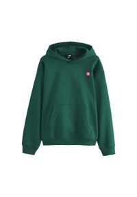 The North Face Bluza Axys Nf0A8C1Q6Gi. Kolor: zielony