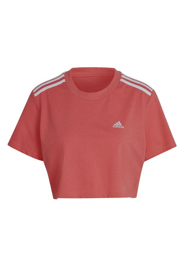 Koszulka damska Adidas Cropped różowa krótka bawełniana. Kolor: pomarańczowy. Materiał: bawełna. Długość: krótkie