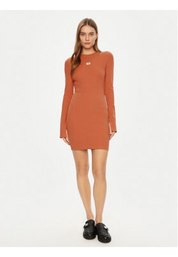 Calvin Klein Jeans Sukienka codzienna J20J225112 Pomarańczowy Slim Fit. Okazja: na co dzień. Kolor: pomarańczowy. Materiał: bawełna. Typ sukienki: proste. Styl: casual