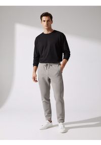 Sinsay - Spodnie straight fit - szary. Kolor: szary #1