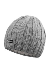 Czapka trekkingowa zimowa Alpinus Kemi. Kolor: szary. Sezon: zima. Styl: sportowy #1