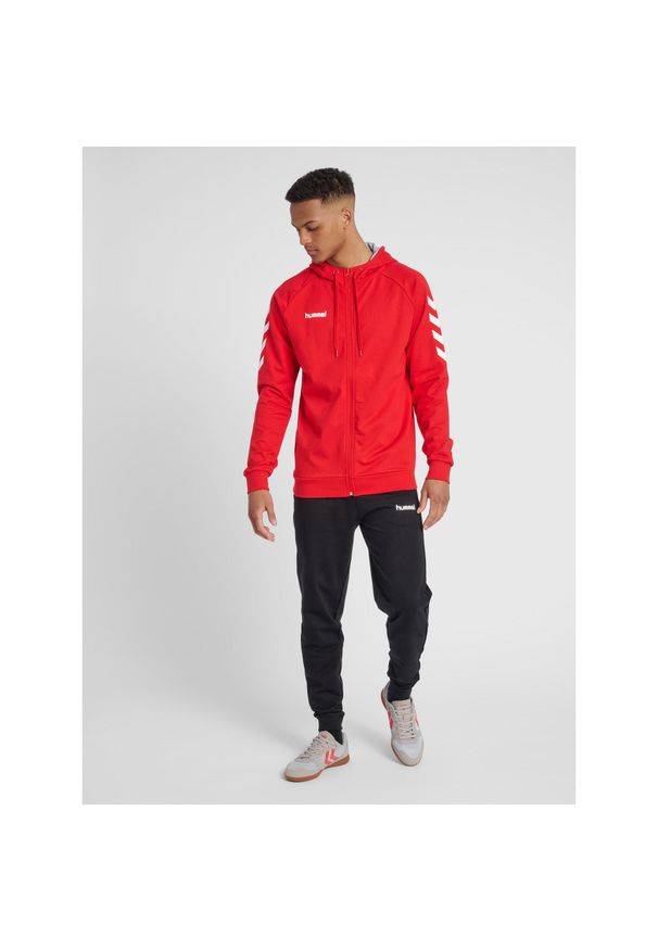 Bluza z kapturem sportowa męska Hummel Go Cotton Zip Hoodie. Typ kołnierza: kaptur. Kolor: czerwony, różowy, biały, wielokolorowy. Sport: taniec, joga i pilates