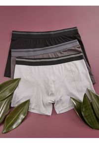 Sinsay - Bokserki Classic 3 pack - szary. Kolor: szary #1