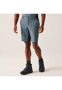 Regatta - Spodenki trekkingowe męskie Eldes. Kolor: biały. Sport: turystyka piesza #1