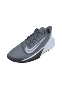 Buty koszykarskie męskie Nike Precision Vii. Zapięcie: sznurówki. Kolor: szary. Materiał: guma, syntetyk, tkanina, materiał. Szerokość cholewki: normalna. Sport: bieganie
