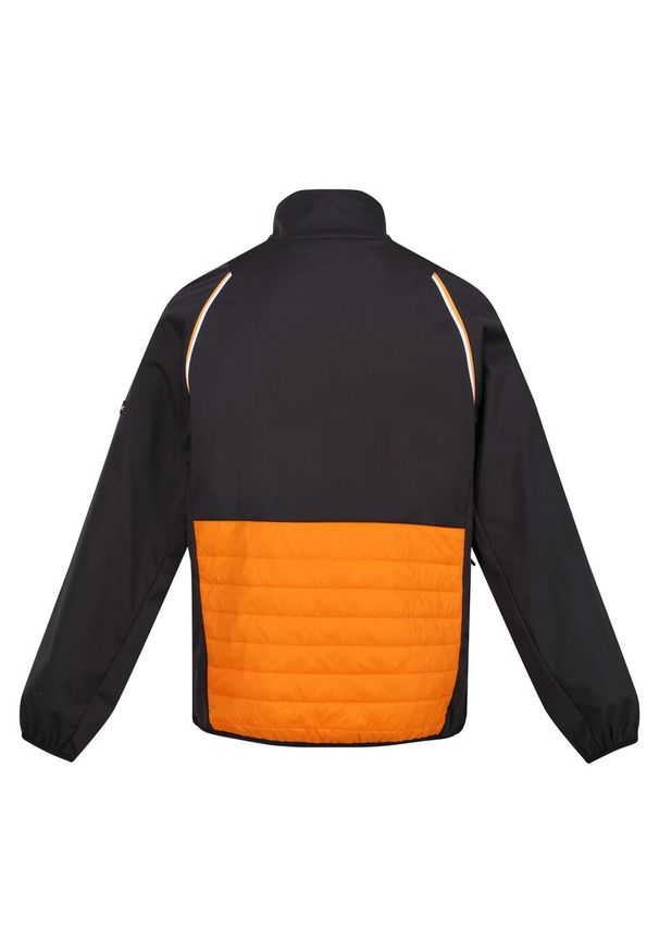 Regatta - Kurtka Męska Steren Hybrid Soft Shell. Kolor: pomarańczowy, wielokolorowy, szary