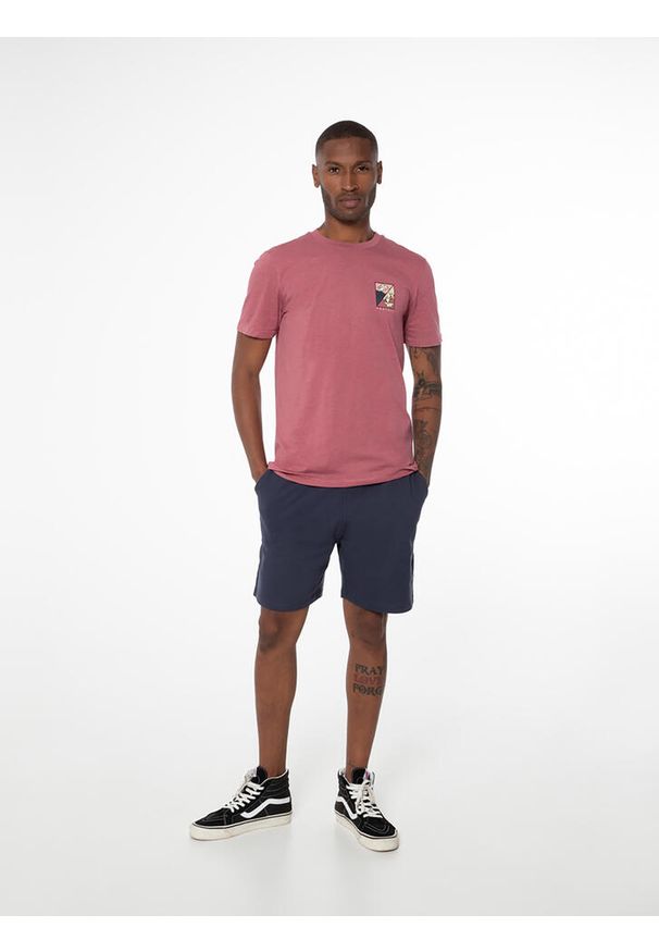 Koszulka męska Protest PRTABDIEL. Kolor: różowy