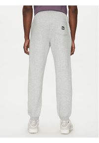 Quiksilver Spodnie dresowe Salt Water EQYFB03391 Szary Regular Fit. Kolor: szary. Materiał: bawełna #4
