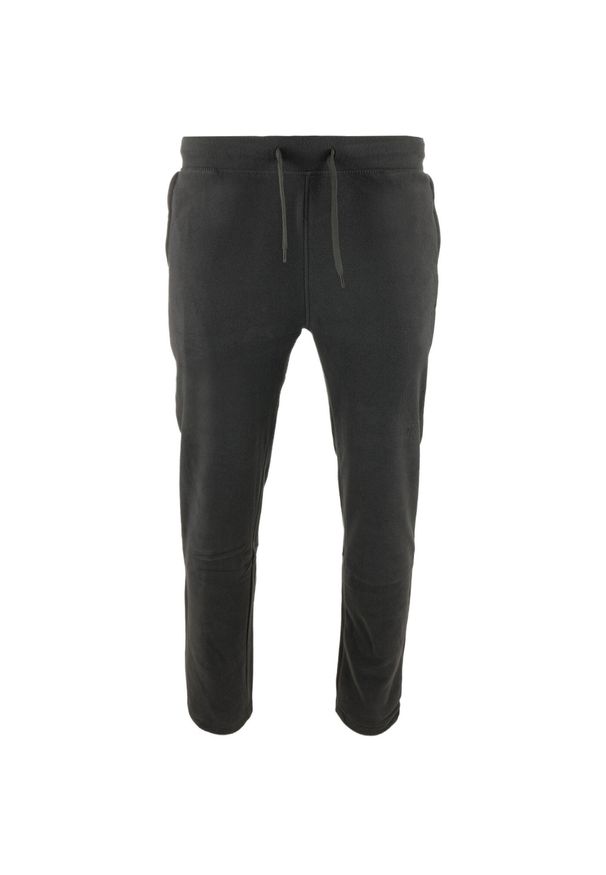 ZOOPLEMENTS - Spodnie dresowe męskie Athl. DPT. Emisfero Lead S. Kolor: czarny. Materiał: dresówka. Wzór: haft. Sezon: zima. Sport: bieganie