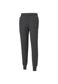 Spodnie męskie Puma Essentials Logo. Kolor: szary. Materiał: bawełna, materiał. Sport: fitness