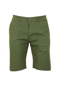 PEAK MOUNTAIN - Bermudy Peak Mountain Cechino. Kolor: zielony. Sport: turystyka piesza #1