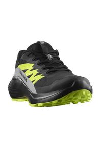 salomon - Buty do biegania męskie Salomon Alphaglide Gtx. Zapięcie: sznurówki. Kolor: wielokolorowy. Materiał: syntetyk, tkanina, materiał. Szerokość cholewki: normalna. Sport: bieganie