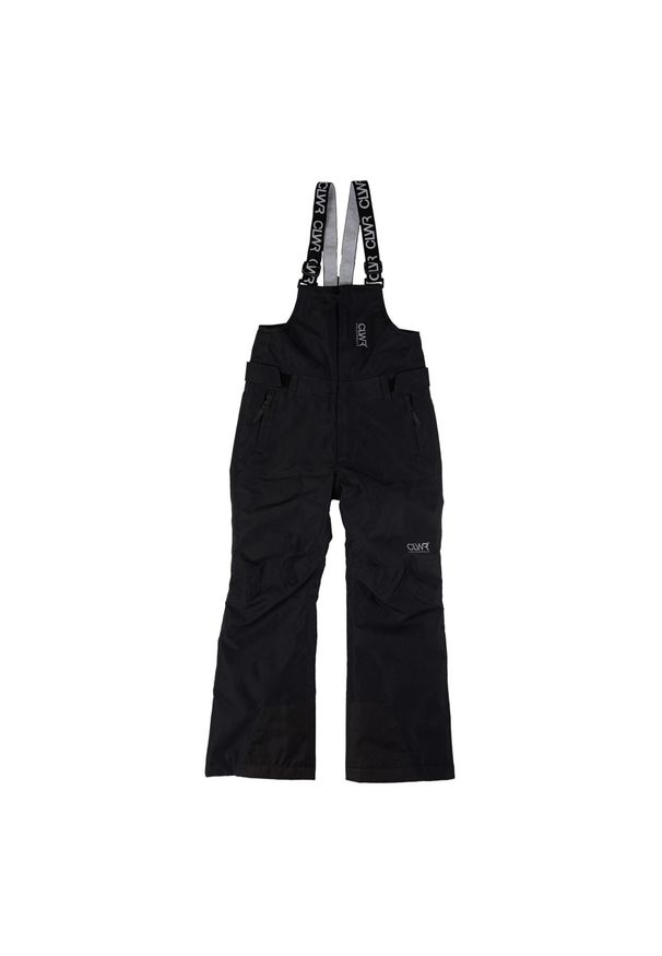 Spodnie narciarskie dziecięce Colourwear Slash Bib. Kolor: czarny. Sezon: zima. Sport: narciarstwo