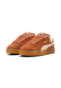 Trenerzy Puma Suede XL. Kolor: wielokolorowy, pomarańczowy, brązowy. Materiał: materiał, syntetyk, tkanina, guma, skóra. Model: Puma Suede. Sport: turystyka piesza #2
