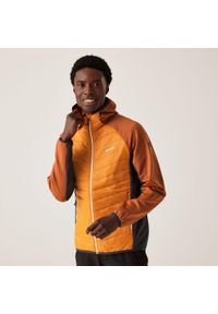 Regatta - Kurtka turystyczna hybrydowa męska Andreson VIII. Kolor: pomarańczowy, wielokolorowy. Materiał: poliamid. Sport: turystyka piesza #1
