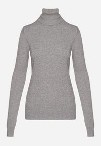 Born2be - Szary Golf Sweter z Wiskozą i Kaszmirem Zailaya. Okazja: na co dzień. Typ kołnierza: golf. Kolor: szary. Materiał: kaszmir, wiskoza. Styl: casual