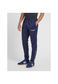 Spodnie do biegania Hummel hmlAUTHENTIC Poly. Kolor: niebieski. Sport: piłka nożna #1