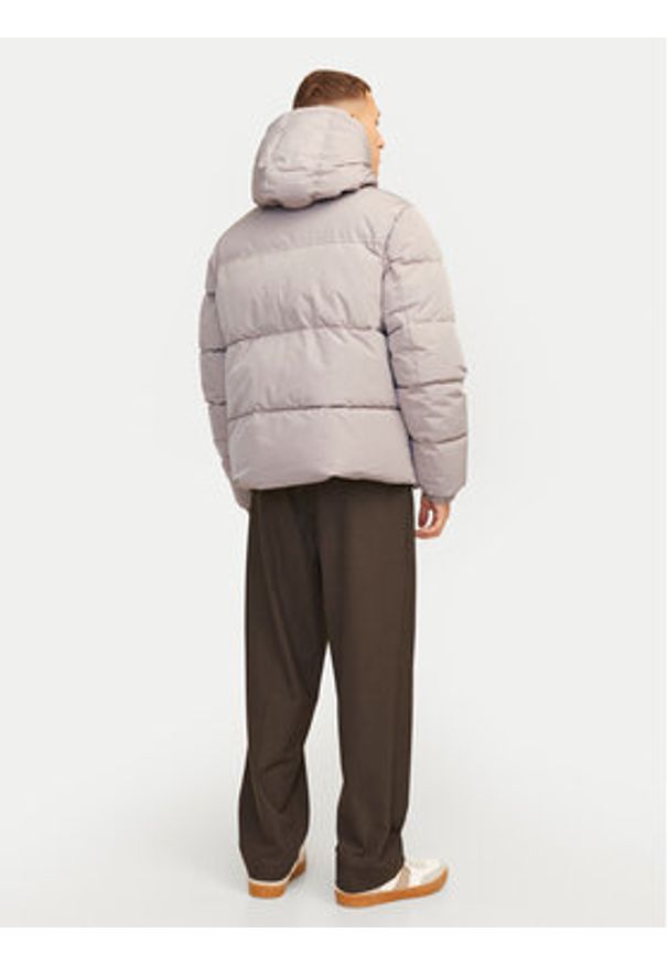 Jack & Jones Kurtka zimowa Bradley 12256974 Szary Regular Fit. Kolor: szary. Materiał: syntetyk. Sezon: zima