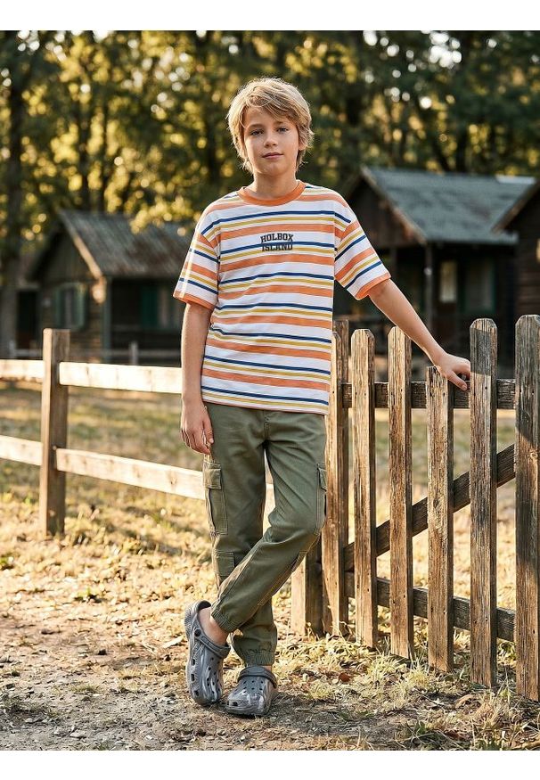 Sinsay - Jeansy cargo - zielony. Kolor: zielony