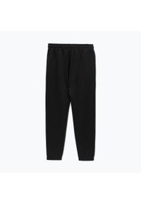 PITBULL - Spodnie męskie Pitbull Track Pants Powers. Kolor: czarny. Sport: fitness