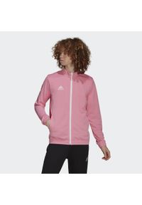 Adidas - Entrada 22 Track Jacket. Kolor: różowy, wielokolorowy, biały. Materiał: materiał. Sport: piłka nożna #1