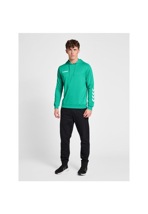 Bluza do piłki ręcznej męska Hummel hml PROMO Poly z kapturem. Typ kołnierza: kaptur. Kolor: zielony. Sport: piłka ręczna