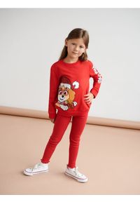 Sinsay - Bluza Psi Patrol - czerwony. Kolor: czerwony. Materiał: bawełna #1