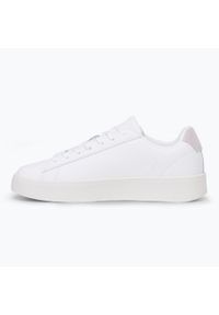 Buty męskie Napapijri. Kolor: biały