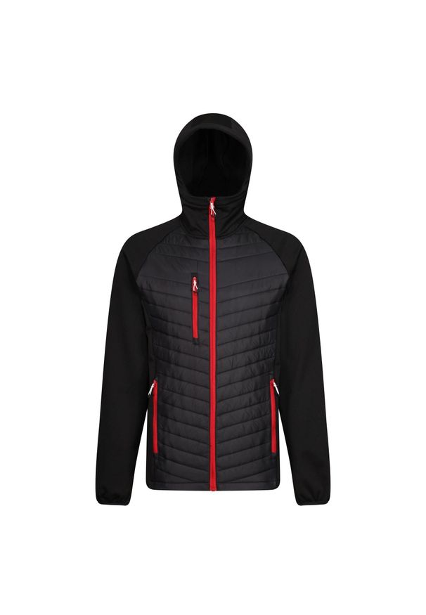 Regatta - Męska Pikowana Kurtka Hybrydowa Navigate. Kolor: czerwony, wielokolorowy, czarny. Materiał: puch. Sport: turystyka piesza