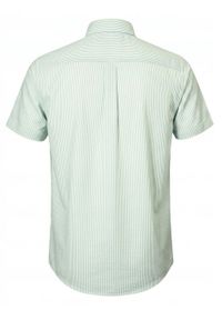 Weekendowa Koszula Męska, Taliowany Krój - Pako Jeans - Jasna Zieleń w Prążek. Okazja: na co dzień. Materiał: wiskoza, bawełna. Wzór: paski. Styl: casual #4