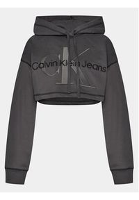 Calvin Klein Jeans Bluza Hero Monologo Short Hoodie J20J222540 Szary Regular Fit. Kolor: szary. Materiał: bawełna
