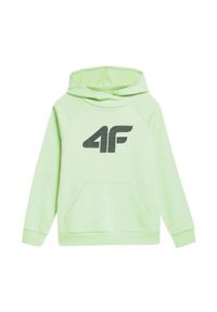 4f - odzież Dziecięce 4F. Kolor: zielony #1