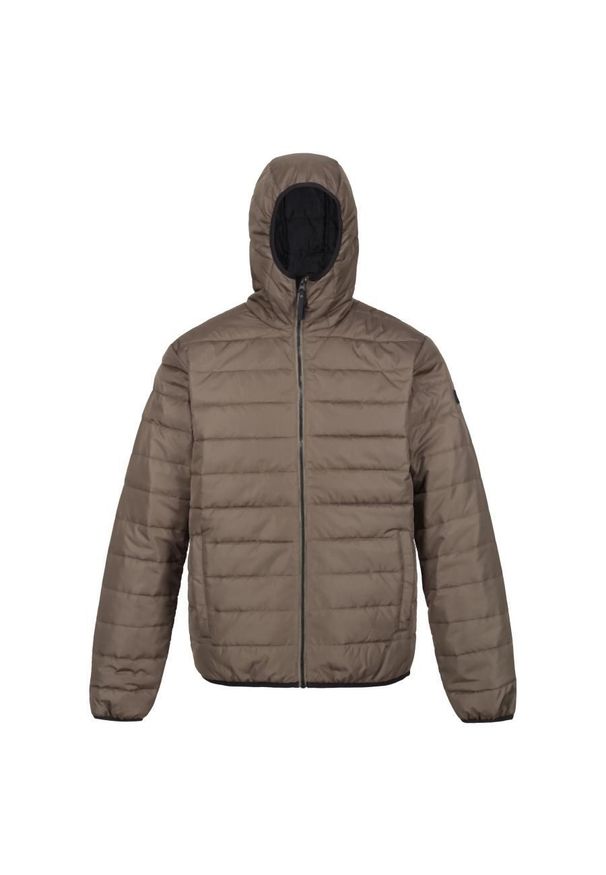 Regatta - Kurtka turystyczna przejściowa męska Helfa z kapturem. Typ kołnierza: kaptur. Kolor: brązowy. Materiał: poliester. Sport: turystyka piesza