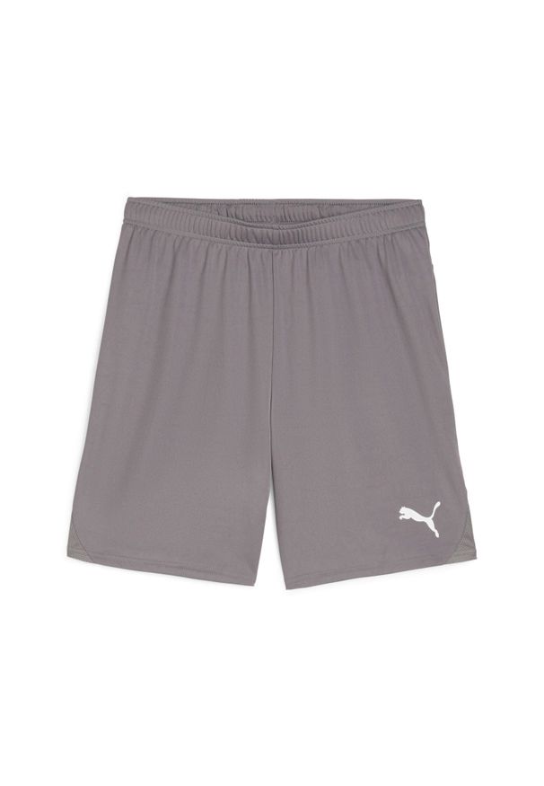 Szorty Puma TeamGloal. Kolor: szary. Materiał: materiał. Sport: piłka nożna