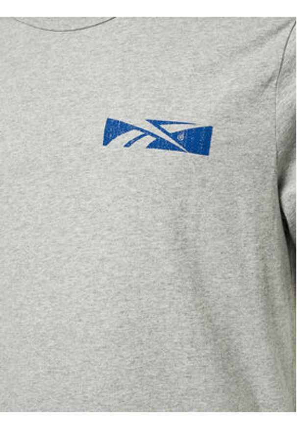 Reebok T-Shirt Not A Spectator Tee 100076407 Szary Regular Fit. Kolor: szary. Materiał: bawełna