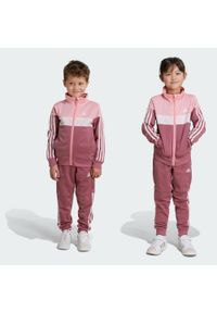 Adidas - Dres Tiberio 3-Stripes Colorblock Shiny Kids. Kolor: czerwony, wielokolorowy, różowy. Materiał: dresówka