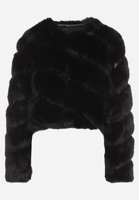 Born2be - Czarna Krótka Kurtka z Futerkiem na Haftki Loreinda. Okazja: na co dzień. Kolor: czarny. Materiał: futro. Długość: krótkie. Styl: casual, elegancki #3