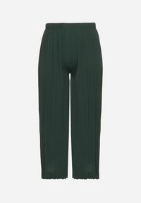 Born2be - Zielone Szerokie Spodnie z Plisowanej Tkaniny z Gumką w Pasie Cesele. Kolekcja: plus size. Kolor: zielony. Materiał: tkanina. Styl: elegancki #3
