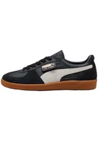 Buty do chodzenia męskie Puma Palermo. Kolor: czarny. Materiał: skóra. Sport: turystyka piesza