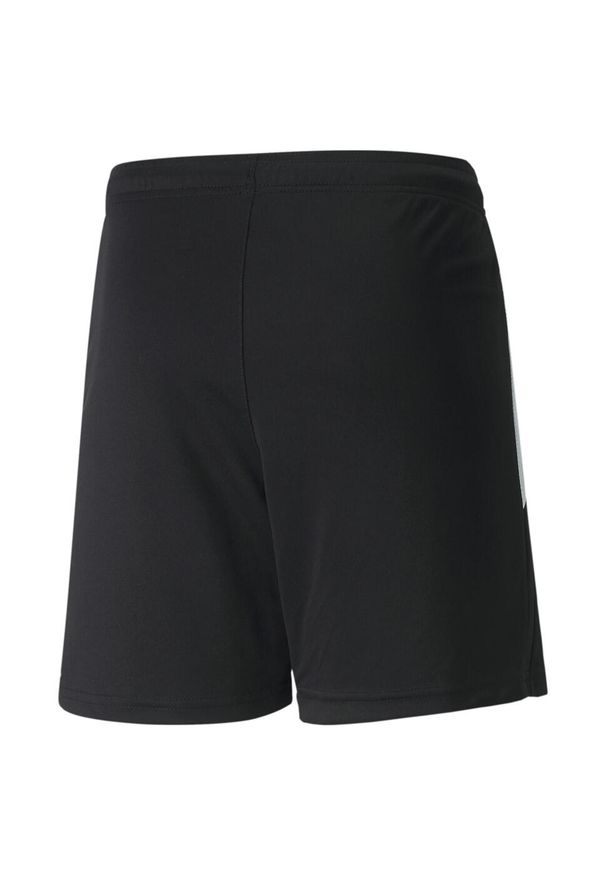 Spodnie piłkarskie chłopięce Puma Teamliga. Kolor: czarny, wielokolorowy, biały. Sport: piłka nożna