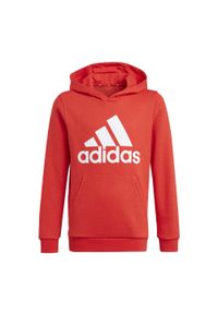 Adidas - Bluza dziecięca z kapturem adidas Essentials. Typ kołnierza: kaptur. Kolor: czerwony, biały, wielokolorowy. Sport: fitness, joga i pilates