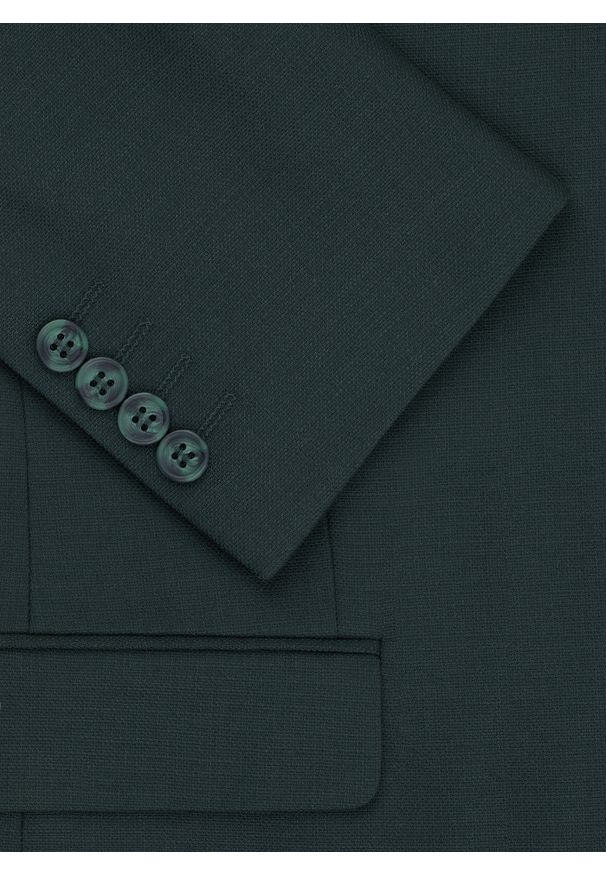 Pako Lorente - PAKO LORENTE – Gładka marynarka garniturowa w kolorze zielonym. Kolor: zielony. Materiał: poliester, elastan, wiskoza. Wzór: gładki