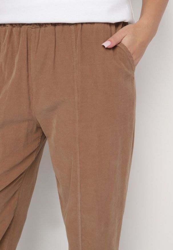 Born2be - Brązowe Klasyczne Spodnie z Bawełny z Wysokim Stanem Isesi. Okazja: na co dzień. Stan: podwyższony. Kolor: brązowy. Materiał: bawełna. Styl: klasyczny