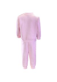 Dres Puma Jr Mini Cats Jogger Set, Dzieci. Okazja: na uczelnię. Kolor: różowy. Materiał: dresówka. Styl: sportowy