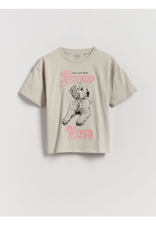 Reserved - T-shirt z haftowanym napisem - jasnoszary. Kolor: szary. Materiał: bawełna. Wzór: napisy, haft