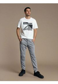 Sinsay - Sportowe spodnie dresowe z przeszyciami - szary. Kolor: szary. Materiał: dresówka. Styl: sportowy #1