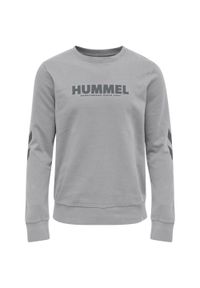 Bluza Hummel Legacy Plus. Kolor: szary. Materiał: polar, materiał. Sport: fitness #1