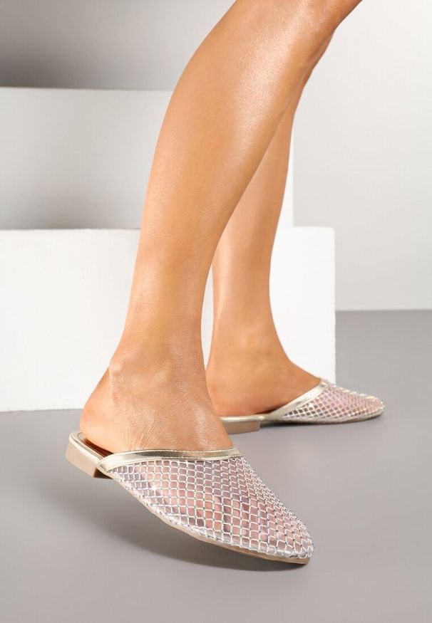 Renee - Złote Siateczkowe Klapki Ozdobione Cyrkoniami Palisna. Okazja: na co dzień. Kolor: złoty. Materiał: jedwab. Wzór: aplikacja. Sezon: wiosna, lato. Obcas: na obcasie. Styl: casual, elegancki. Wysokość obcasa: niski