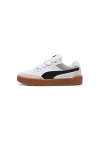 Puma - Buty męskie PUMA Park Lifestyle SK8. Kolor: szary, biały, wielokolorowy